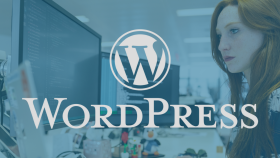 WordPress’te 90+ hız ve teknik SEO odaklı site geliştiririm