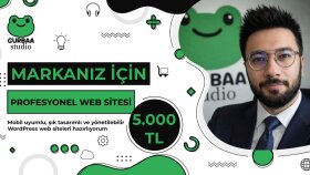 profesyonel anahtar teslim WordPress sitesi kuruyorum