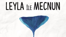 projelerinize profesyonel seslendirme yapıyorum