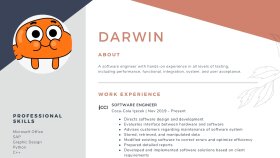 CV Tasarımlarım !