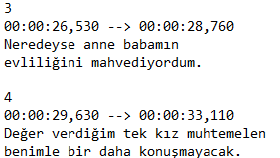 Alt Yazı Çevirisi