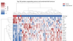 Heatmap