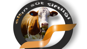 sizin için modern, yaratıcı logo tasarımları oluşturabilirim