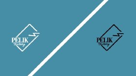 Pelik Battery Logo Tasarımı