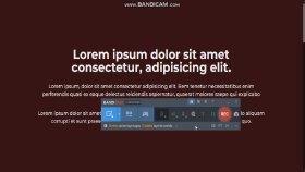 Interactive Web Siteleri