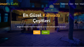 size özel site hazırlarım