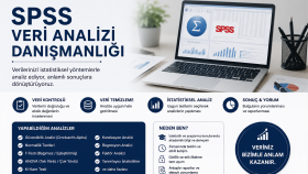 SPSS ile akademik veri analizi yaparım