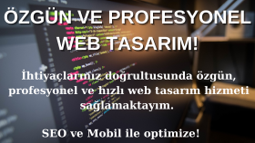 özel kodlanmış web sitesi yapabilirim