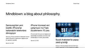wordpress ile anahtar teslim site kurabilirim