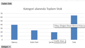 e ticaret operasyonları yönetimi desteği sağlarım