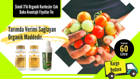 Göze Çarpan Bannerlarla Etki Alanınızı Artırın!