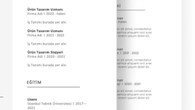 sizin için titizlikle cv hazırlayabilirim