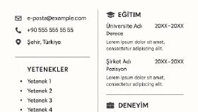 etkileyici ve profesyonel CV metinleri hazırlıyorum