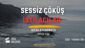 profesyonel ses hizmeti sunarım