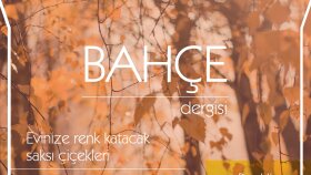 Dergi Tasarımı