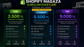 shopify ile profosyonel mağaza kurarım