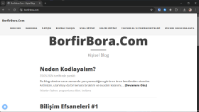 ürünlerinizin kullanıcı ve erişilebilirlik testini yaparım
