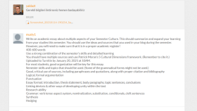 Essay in English; Mixed Martial Arts