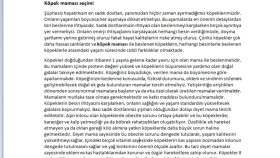 Petshop pazarlama içeriği