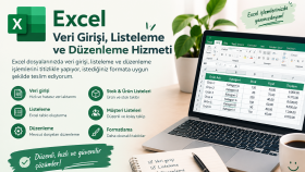 Excel veri girişi ve dosya düzenleme yapabilirim