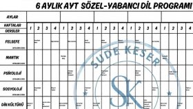 SINAV KOÇLUĞU