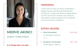 Etkileyici CV Tasarımı