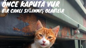 iş örneğim