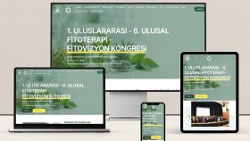 wordpress alanında uzman seviyede web sitesi yapıyorum
