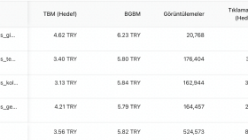 tiktok reklam yönetimi çalışmamız