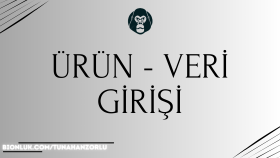 veri ve ürün girişi yaparım