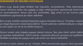 sizlere makaleler yazabilirim