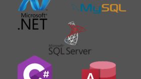 c# net Kullanarak veri tabanlı otomasyon yapabilirim