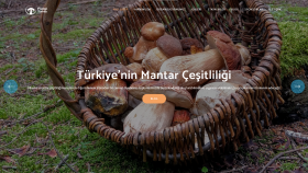Fungi Turkey