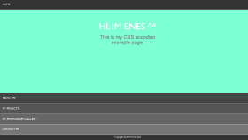 PSD to CSS-HTML, Özel Kodlanmış Web Sitesi