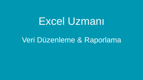 profesyonel Excel raporlama ve veri analizi yaparım