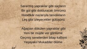 size özgün şiir ve şarkı sözü yazıyorum