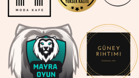 isteğe ve zevkinize göre logo tasarımı