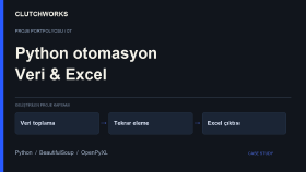 Python | Firma Verisi ve Excel Otomasyonu
