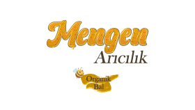 Mengen Arıcılık - Konsept Logo Tasarımı