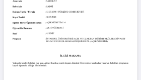 profesyonel tarih ve dış politika makaleleri tasarlarım