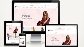 Profesyonel web sitesi hazırlayabilirim