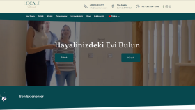 wordpress web sitenizi düzenlemenize yardım ederim