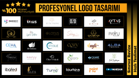 firmanıza özel modern ve kurumsal logo tasarlayabilirim