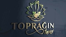 Logo Tasarım