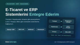 e-ticaret ve ERP sistemleri arası entegrasyon yaparım