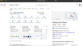 Papatya Halı Yıkama - Google Maps Kaydı