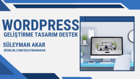 size profesyonel Wordpress sitesi yaparım