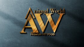 Animal World - Sosyal Medya Tasarım