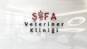 Şifa Veteriner Kliniği Logo Tasarımı