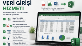 veri girişi ve Excel düzenleme işlemleri yaparım